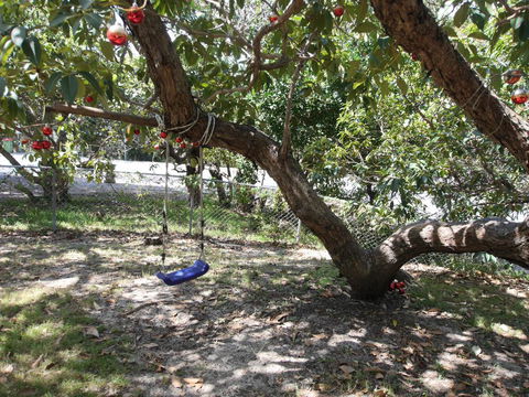 Frenchmans Folly - Mackay Tourism 2