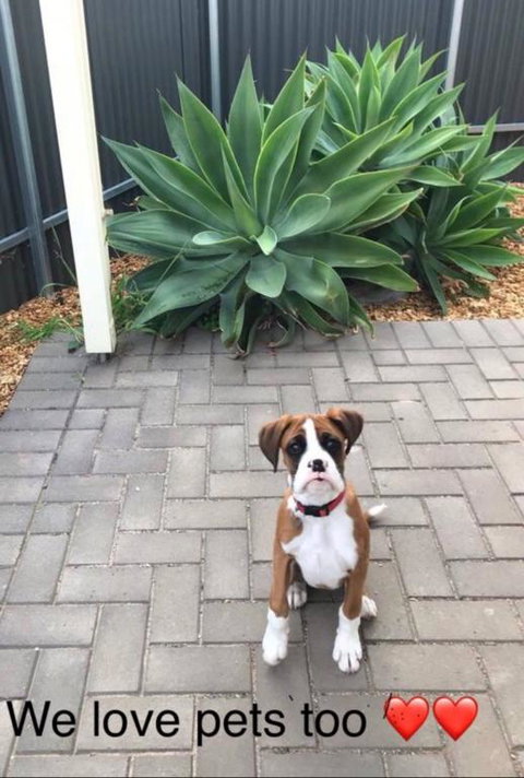 Gawler Townhouse 1 Bedroom - Mackay Tourism 3