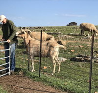 Gilgraves Vineyard Farmstay - Mackay Tourism