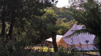 Book Zeehan Accommodation Vacations Mackay Tourism Mackay Tourism