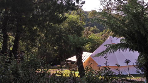 Glamping At Zeehan Bush Camp - Mackay Tourism 0