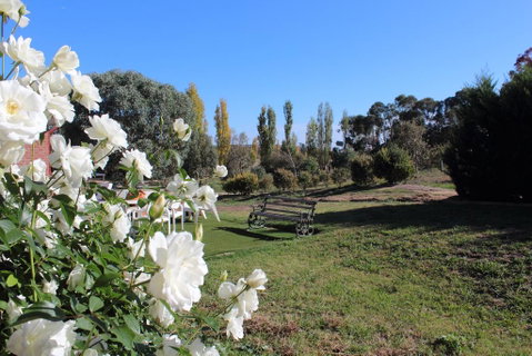 Gundaroo Manor Bed & Breakfast - Mackay Tourism 2