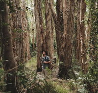 Habitat Noosa - Mackay Tourism
