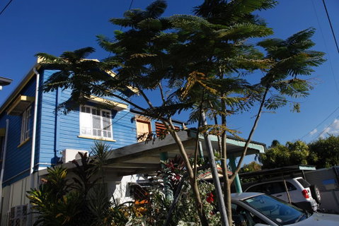 Happytourcairns Sharehouse - Mackay Tourism 0