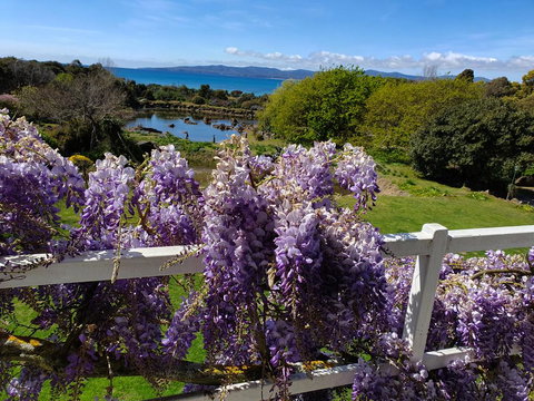 Hawley House - Mackay Tourism 3