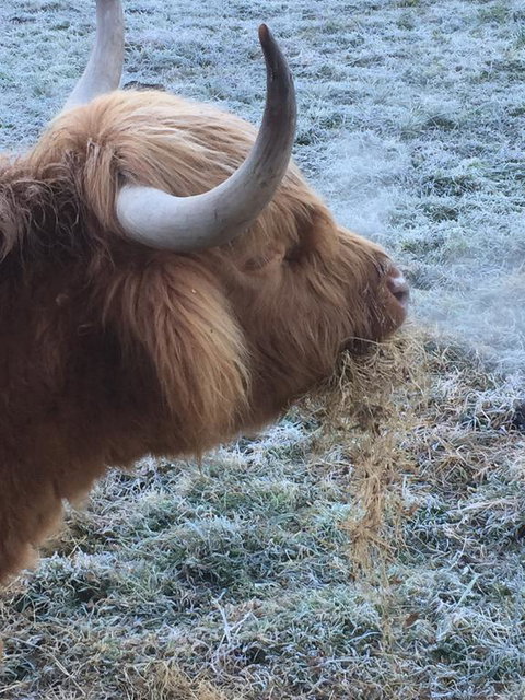 Heimat Chalets - Mackay Tourism 2