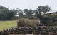 Hill End Lodge - thumb 3