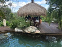 Book Maudsland Accommodation Vacations Mackay Tourism Mackay Tourism