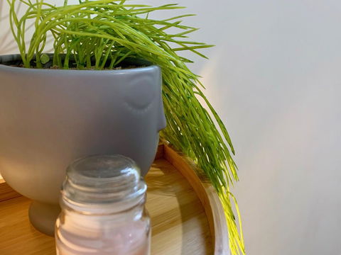 Homely Getaways In New Torquay - Mackay Tourism 2