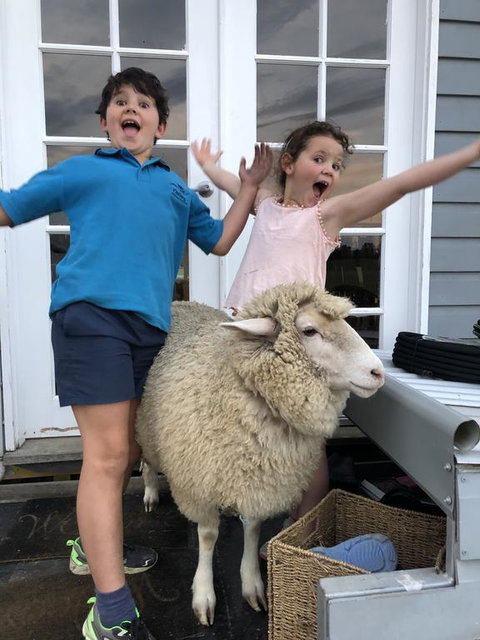 Jackaleah Farm Stay - Mackay Tourism 2