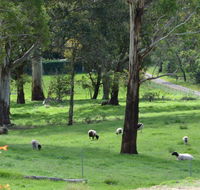 JAN'S ART STUDIO AT ASHBY RISE - Mackay Tourism