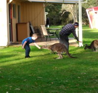 Kalgan River Chalets and Caravan Park - Mackay Tourism