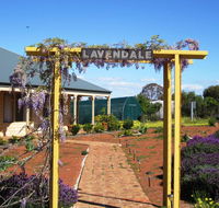 Lavendale Farmstay and Cottages York - Mackay Tourism