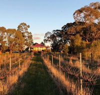 Lillicur Vineyard BB - Mackay Tourism