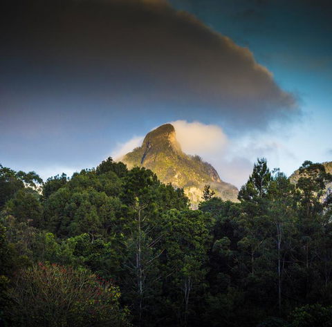 Mavis's Cabins @ Mt Warning - Mackay Tourism 1