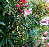 Mercury motor inn - Mackay Tourism
