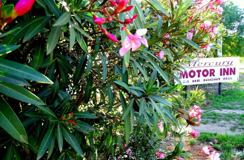 Mercury Motor Inn - Mackay Tourism 0