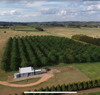 Millthorpe Truffles - Gorgeous getaway for 2 - Mackay Tourism