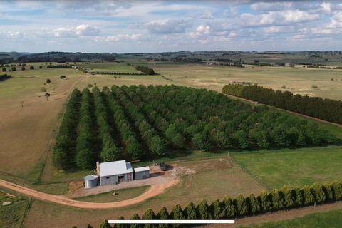Millthorpe Truffles - Gorgeous Getaway For 2 - Mackay Tourism 0