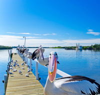 Moby Dick Waterfront Resort Motel - Mackay Tourism