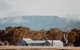 Mt William Shearers Quarters - thumb 0