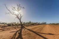 Book Mungo Accommodation Vacations Mackay Tourism Mackay Tourism