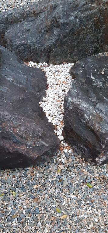 Murraya Exotica Place - Mackay Tourism 2