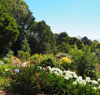 Murrindindi - Mackay Tourism