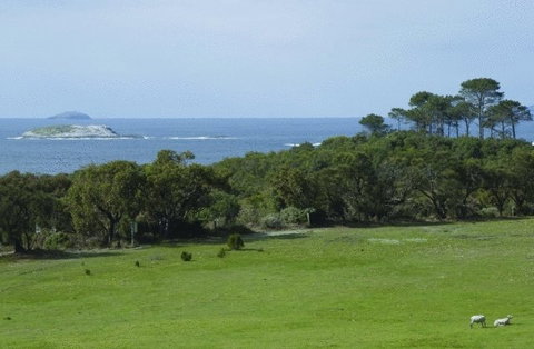 Cosy Corner Sea View Apartments - Mackay Tourism 7