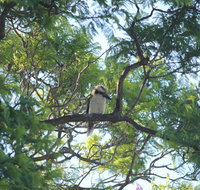 Jacaranda Hideaway Bed  Breakfast - Mackay Tourism
