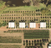 Swan Valley Sisters - Mackay Tourism