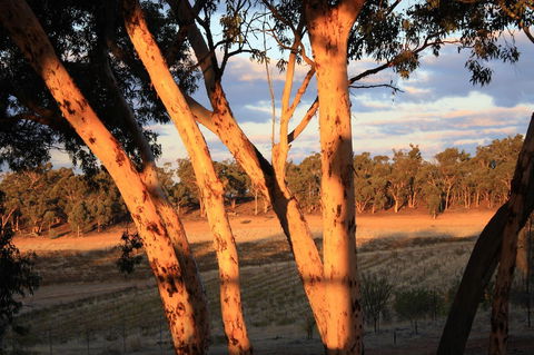 Hotham Ridge Estate - Mackay Tourism 30