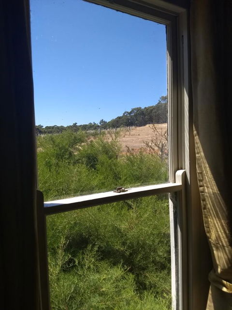 Hotham Ridge Estate - Mackay Tourism 8