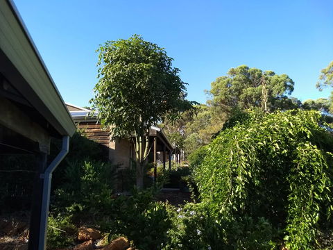Hotham Ridge Estate - Mackay Tourism 5