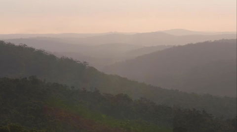 Riverside Retreat Chalets, Walpole - Mackay Tourism 31