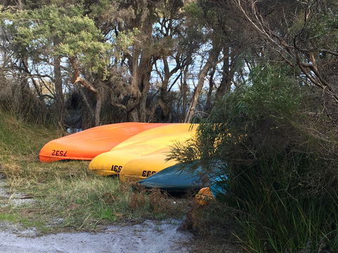 Riverside Retreat Chalets, Walpole - Mackay Tourism 20