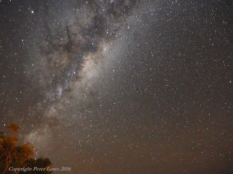Riverside Retreat Chalets, Walpole - Mackay Tourism 26