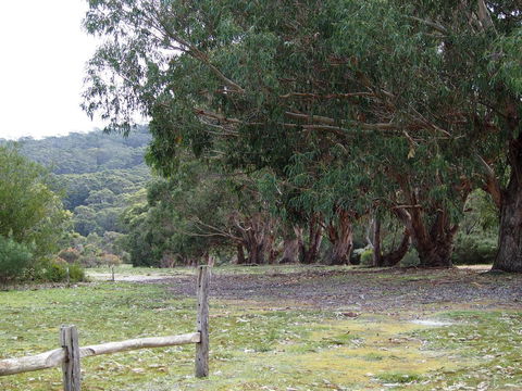 Riverside Retreat Chalets, Walpole - Mackay Tourism 17