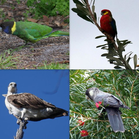 Riverside Retreat Chalets, Walpole - Mackay Tourism 24