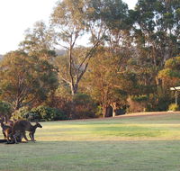 Riverside Retreat Chalets Walpole - Mackay Tourism