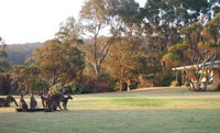 Book Walpole Accommodation Vacations Mackay Tourism Mackay Tourism