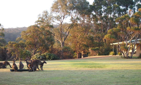 Riverside Retreat Chalets, Walpole - Mackay Tourism 0