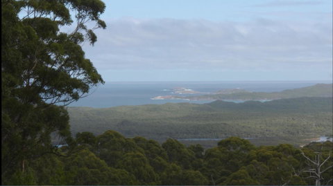 Riverside Retreat Chalets, Walpole - Mackay Tourism 30