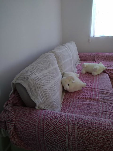 DIANELLA Budget Rooms Happy Place To Stay - Mackay Tourism 29