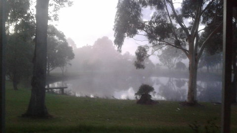 Abbivale Farm Cottage - Mackay Tourism 18