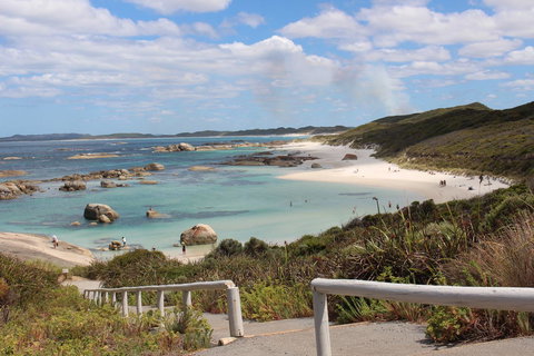 Abbivale Farm Cottage - Mackay Tourism 19