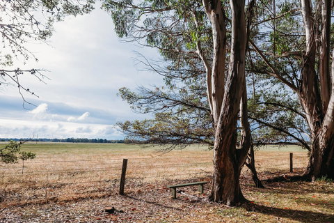 Margaret River Holiday Cottages - Mackay Tourism 22