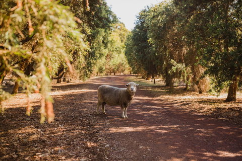 Margaret River Holiday Cottages - Mackay Tourism 21