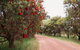 Margaret River Holiday Cottages - thumb 17