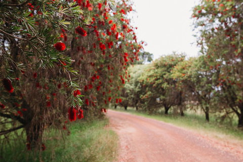 Margaret River Holiday Cottages - Mackay Tourism 17